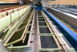 味も香りも、最高の一枚を　養殖ノリ生産が最盛期　加工場に活気　兵庫・家島