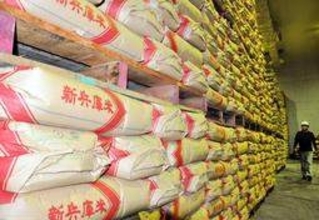 コメ不足一転、余る兵庫県産米　割安な備蓄米や輸入米に需要流れ　価格下落で農家打撃恐れ