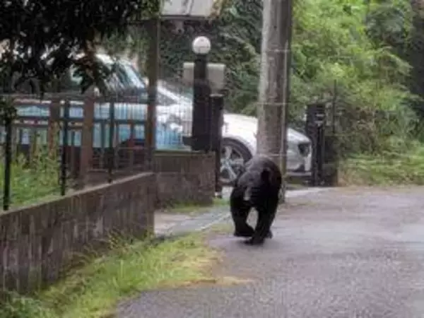 市川町でツキノワグマ目撃　散歩中の男性が山林内の住宅地で　ウロウロしている様子　兵庫