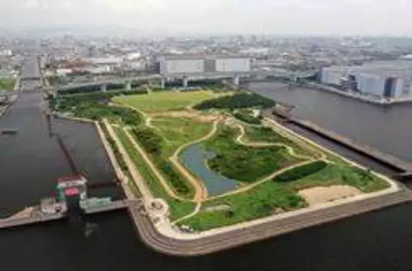 植林20年、県立尼崎の森中央緑地　郷土種にこだわり10万9千本　渡り鳥、キツネ目撃も　多様な生物育む