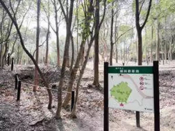 神戸市、樹林葬墓地の利用開始　20年で1600人を埋葬予定　北区・ひよどりごえ森林公園