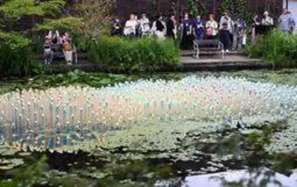 草間弥生さんの「南瓜」も競演　秋の山上に多彩な作品「神戸六甲ミーツ・アート」29日開幕