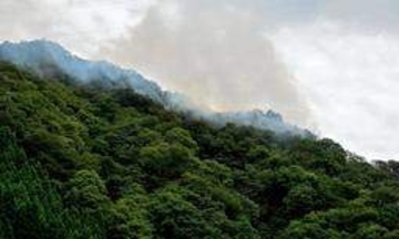 宍粟の山林火災、発生2日で鎮火　けが人なし、焼失面積は少なくとも2ヘクタール