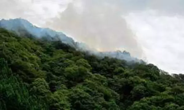 宍粟の山林火災、発生2日で鎮火　けが人なし、焼失面積は少なくとも2ヘクタール