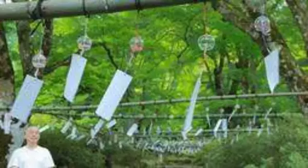 夏風が奏でる、涼の音色　丹波市青垣・高源寺で「風鈴まつり」、参道に300個