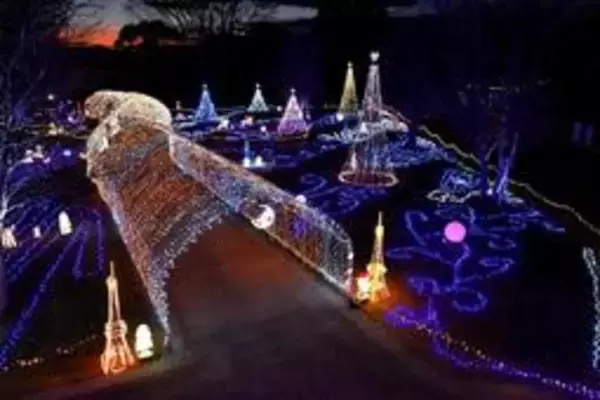 「花と光のクリスマス」幻想的に　夜の花壇にLED10万個きらびやか　兵庫・加西