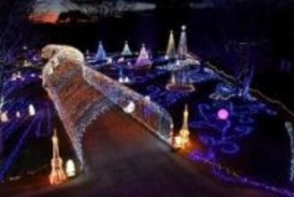 「花と光のクリスマス」幻想的に　夜の花壇にLED10万個きらびやか　兵庫・加西