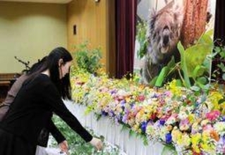 国内最高齢コアラ「のぞみ」本当にありがとう　南あわじ・イングランドの丘でお別れセレモニー