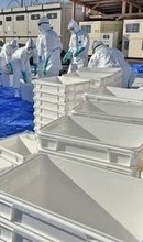 姫路の養鶏場、ニワトリ24万羽の殺処分完了　鳥インフル確認で兵庫県　搬出や移動の制限続く