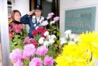 地域彩る「花の駐在所」　丹波篠山の古市駐在所、門外不出の「お苗菊」を丹精に育成　兵庫