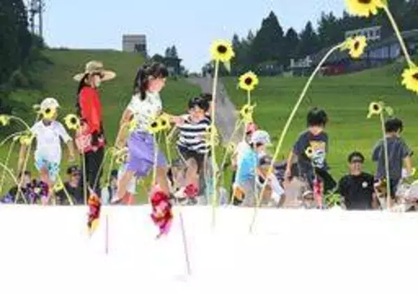 六甲山で「真夏の雪まつり」7年ぶりに復活　宝探しや雪だるま作り「かき氷の中に入ったみたい」　神戸・灘