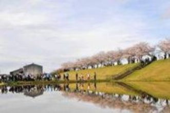 水鏡に咲き誇る逆さ桜、春の二重奏　小野・桜づつみ回廊　住民が育てた名所、撮影スポット手作り