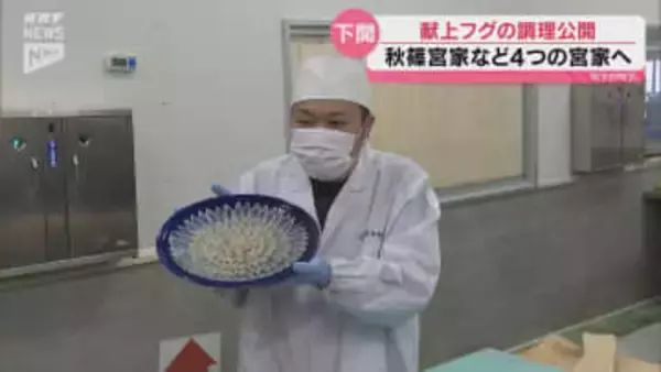 伝統の技で仕上げた菊盛りのふく刺しなど  秋篠宮家など4つの宮家に献上されるフグ  試作品の調理が公開