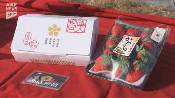 がんばれ受験生！冠天満宮で祈願「合格いちご」12日から販売開始