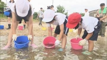 「大きくなってね」フグはえ縄漁発祥の地＝周南市粭島で小中学生がトラフグの稚魚放流