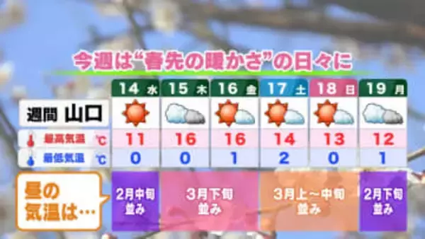 【山口天気 夕刊1/13】あす14日(水)は絶好の洗濯日和　今週後半は「春先の暖かさ」の一方で「春の厄介者」の気配も