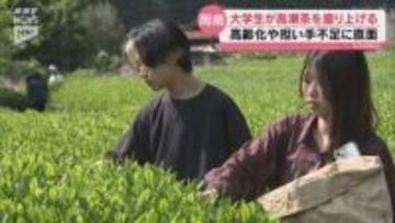 高齢化や担い手不足に直面する高瀬茶を盛り上げる！周公大生が新たなビジネスモデル考案へ