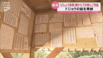 年齢の数だけドジョウを奉納　700年続く「どじょう森様」 美祢市美東町