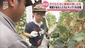 障害がある人たちと子どもたちが防府市の農園でキュウリの収穫を楽しむ