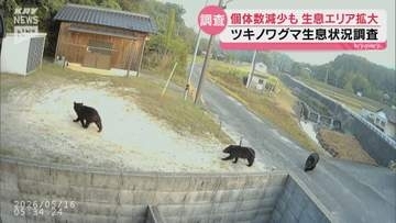 ツキノワグマ推定数は減少も「生息エリア」は拡大　岩国・周南など　山口・広島・島根の3県調査
