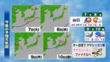 【山口天気 夕刊4/6】サクラの花は入学式まで持ちこたえるか？…小刻みな天気変化とヒンヤリ北風に注意