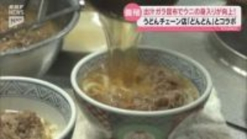 うどんの「出汁ガラ」でウニが絶品に！「どんどん」の昆布活用で身入り向上