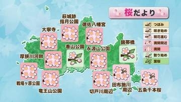 【山口天気 朝刊4/6】週末の雨風を耐えて サクラはまだまだ見ごたえ十分! 天気が穏やかなうちにしっかり楽しみましょう