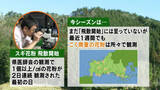 「【山口天気 夕刊2/11】今週後半は再び春先取りの暖かさの日々…その暖かさで花粉シーズンまもなく開始へ」の画像1