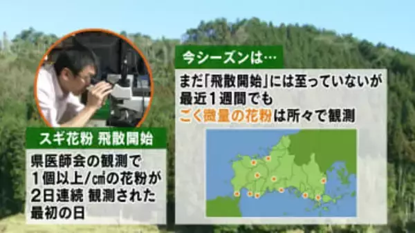 【山口天気 夕刊2/11】今週後半は再び春先取りの暖かさの日々…その暖かさで花粉シーズンまもなく開始へ