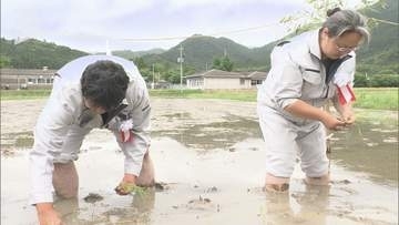 長門市で10年ぶり「新嘗祭」献穀米のお田植え式
