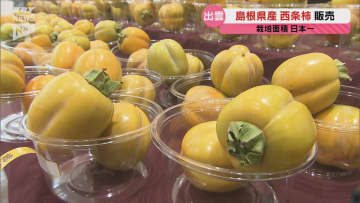 糖度が高くやわらかい食感が特徴 栽培面積日本一を誇る島根県の西条柿が県内のスーパーで販売