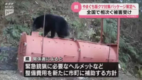 緊急銃猟に必要なヘルメットやプロテクターの整備費用を補助へ~「やまぐち版」のクマ被害防止対策パッケージを策定へ