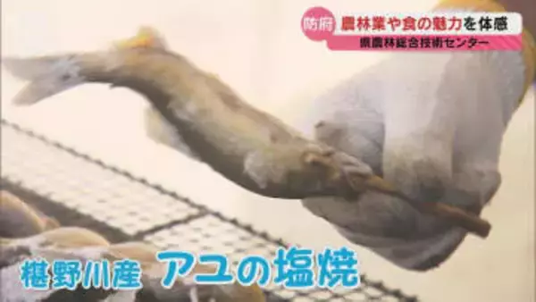 アユの塩焼きやシイタケBBQ！農林業や食の魅力を体感「やまぐち農林業の知と技の拠点祭」(山口・防府市）