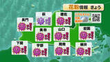 「【山口天気 朝刊2/26】雨上がりの晴天・気温上昇・風が吹く スギ花粉大量飛散の条件勢ぞろい!一段と入念な花粉症対策を」の画像1