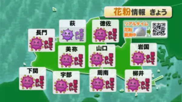 【山口天気 朝刊2/26】雨上がりの晴天・気温上昇・風が吹く スギ花粉大量飛散の条件勢ぞろい!一段と入念な花粉症対策を