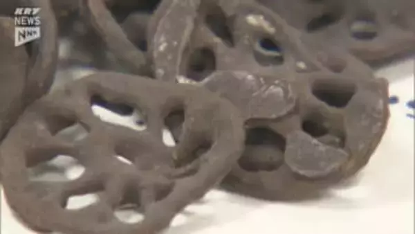 レンコン×チョコレート！その味は？「岩国れんこんチップスチョコレート」が誕生