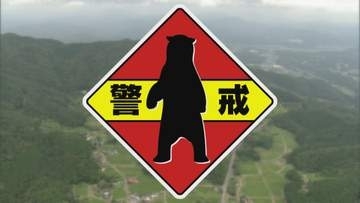 【山口県】「クマ出没警報」発令方法を9月1日から見直し～実態に即した運用へ