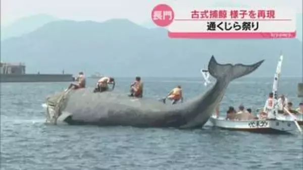 かつて捕鯨で栄えた文化を若い世代に 長門市通地区で恒例のくじら祭り 「古式捕鯨」の実演も