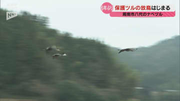 周南市八代で保護されていたナベヅル3羽の放鳥作業 初日はケージから出ず放鳥作業は18日に持ち越し