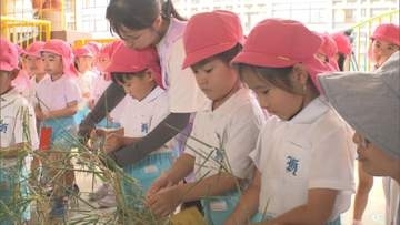 将来の夢や交通安全への願いを込めて 岩国市で園児が七夕飾り