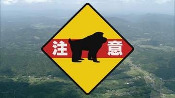 【速報】またもサルによるかみつき事案...山陽小野田市山野井