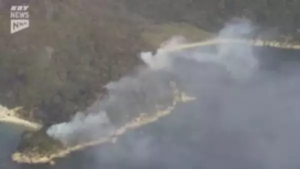 周南市・仙島で発生した山林火災の消失面積は12ヘクタール 警察と消防は焚火の火が燃え広がったとみて調べを進める方針