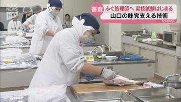 山口を代表する味覚フグを安全に提供へ ふぐ処理師試験の実技試験始まる