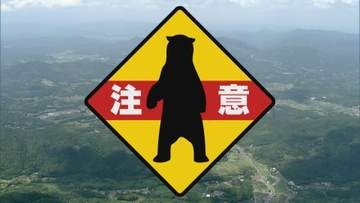 【山口】周南市八代でクマの目撃情報　体長1.2mほどのクマが国道376号を歩く