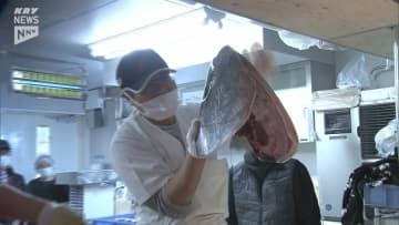 豪快！道の駅でマグロの解体ショー…山口・ソレーネ周南で通常の半額以下で販売！