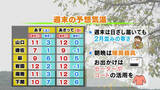 「【山口天気 夕刊3/6】週末は季節逆戻り 広く2月並みの寒さ スギ花粉の飛散は最盛期で来週いっぱいは辛抱の日々」の画像1