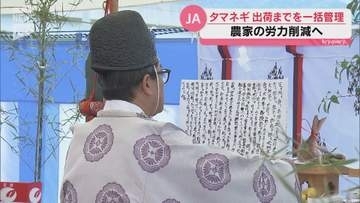収穫から出荷までに手間がかかるタマネギ…山口県中西部のタマネギを一集め作業を一括で行う施設を山口市に建設へ