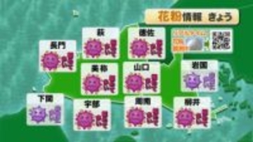 【山口天気 朝刊2/25】雨は目先2～3時間ほどで止む見通し 但し午後は花粉が大量に飛散するおそれ 一段と入念な対策を