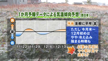 【山口天気 夕刊11/20】「霜」が降りるのが“当たり前”の時期に　この先は季節は順調に“冬”へ…残りの秋を大切に！