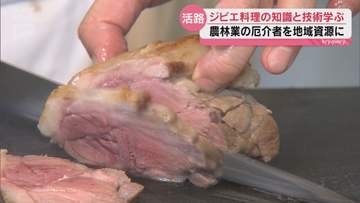 ジビエ料理の魅力を多くの人に 山口市で料理人などを対象にした研修会